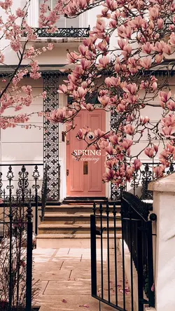 Spring is coming 🌸