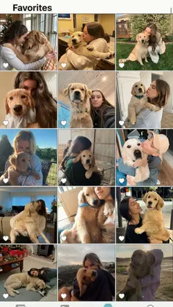 My dog 