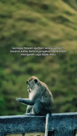 trend idul adha