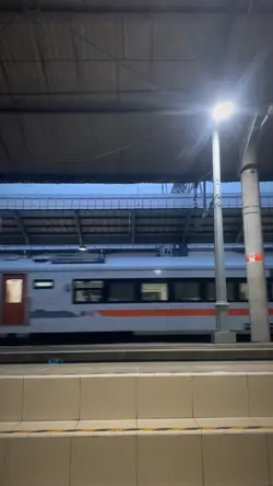 Slowmo Pica Pica 2