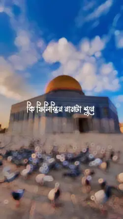 ফিলিস্তিন নাম শুনে 
