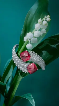 New Collection