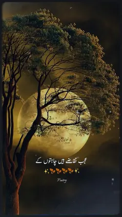 Poetry 