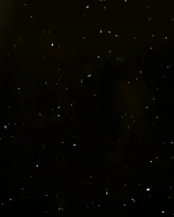 ترند