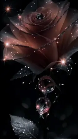 Black ń Colour Rose