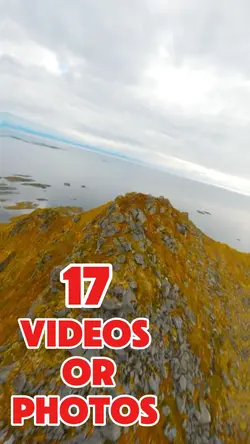 17 videos or photos 