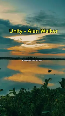 Unity - Alan Walker 