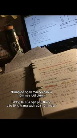 1 ảnh + caption