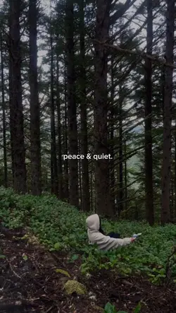 peace & quiet