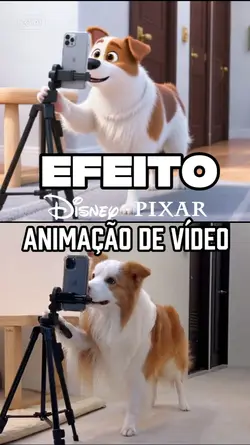 Animação de vídeo 
