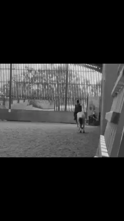 Riding lesson toda