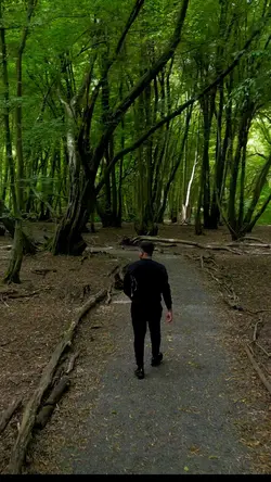 Jungle 
