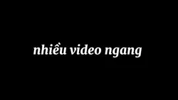 mẫu 4 video 