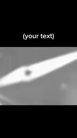 your text