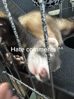 Hate comments