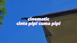 Cine dj cinta pipi c