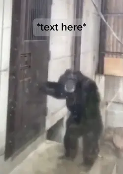 LET ME OUT 