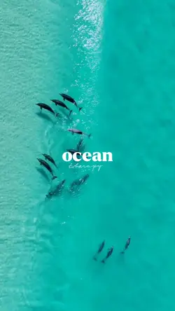 ocean therapy 