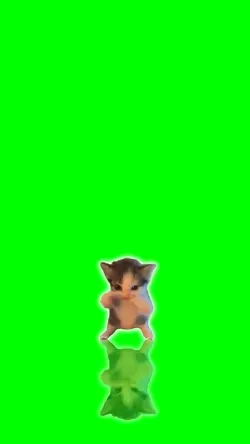 Kucing Kicau