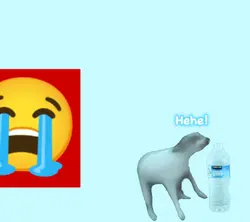 ~•Bottle flip meme•~