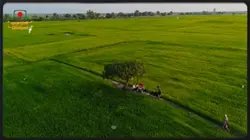 Bangladesh 