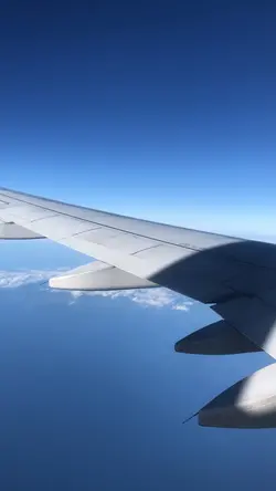 Flight🛫Travel