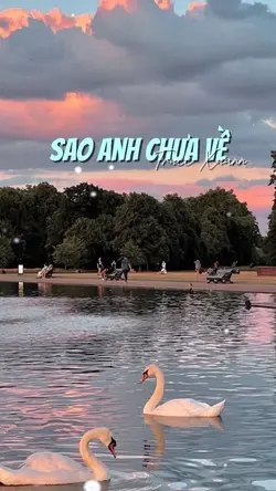 Sao anh chưa về ??