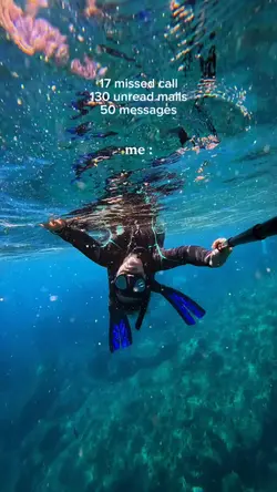 17 missed call 