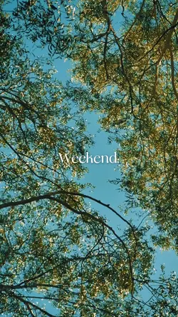 Weekend Story