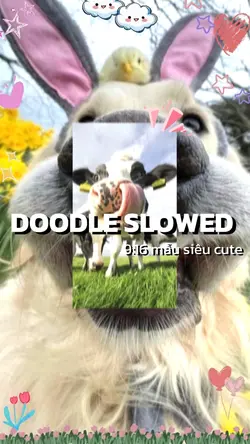 DOODLE SLOWED