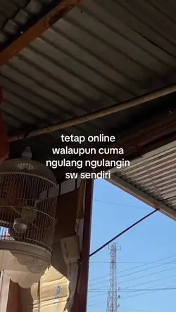 story wa