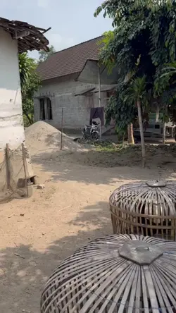 story ayam 