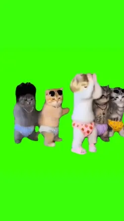 Kitten Squad Dance
