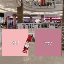 ITS JAPANESE BLOSSOM