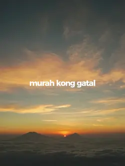 murah kong gatal