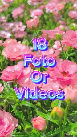 18 Video slide