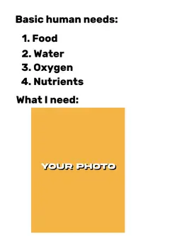 Basic Human Needs