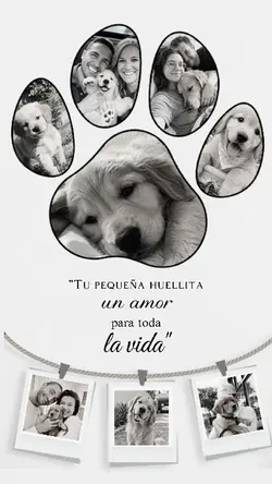 Huellitas te extraño