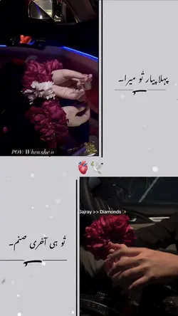 Gajry video template