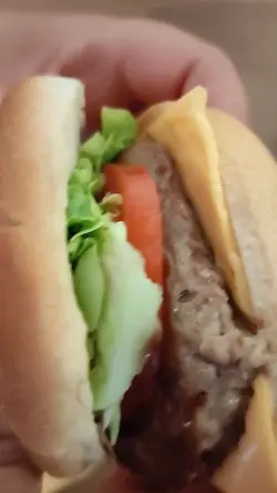 hamburger