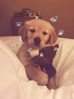cute