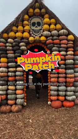 Pumpkin Patch