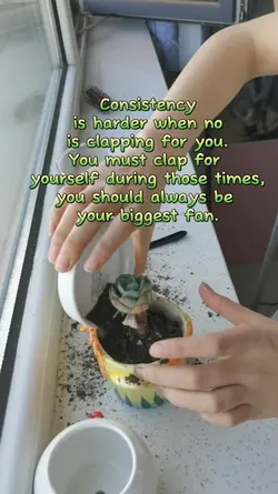 quotes