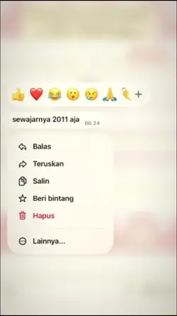 sewajarnya 2011 aja