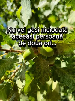 nu vei gasi 