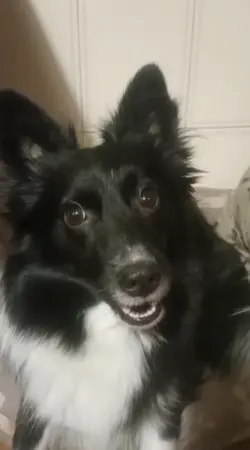 Bella, Bellissima