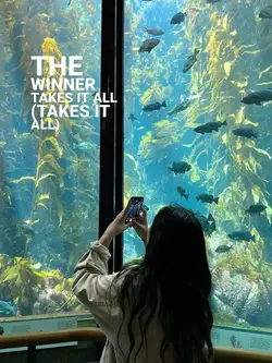 the winner takes it
