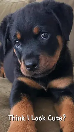 Think I Look Cute?