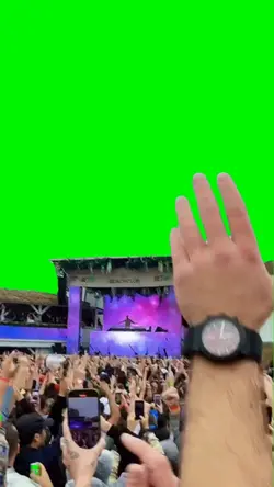 David Guetta Concert