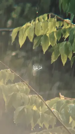 MAHALUL QIYAM
